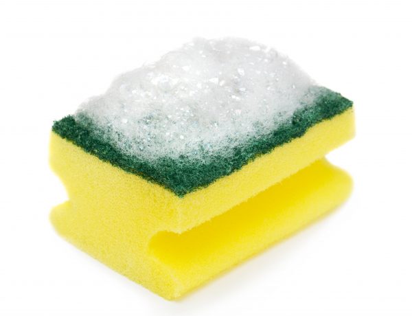 Scouring Sponges 